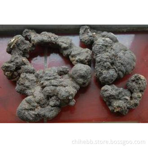 Chinese Herbal Medicine Polyporus Umbellatus For Anti-Aging